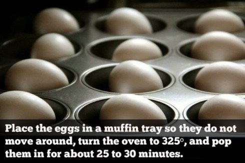 muffin eggs