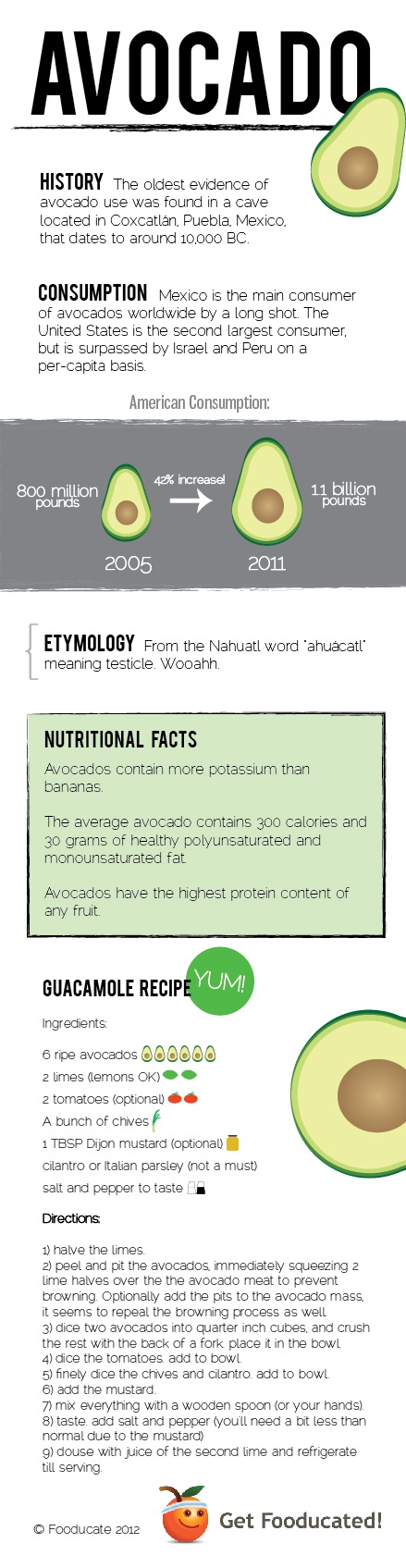 avocado infographic