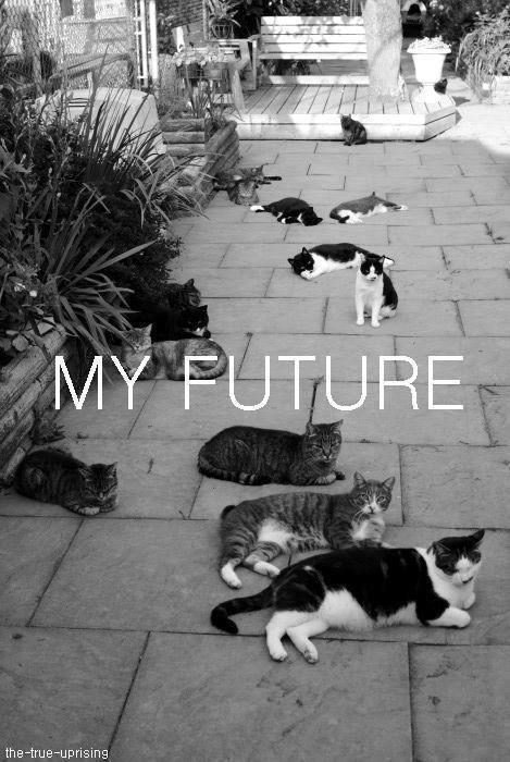 563437_561084870576450_551104445_n_large