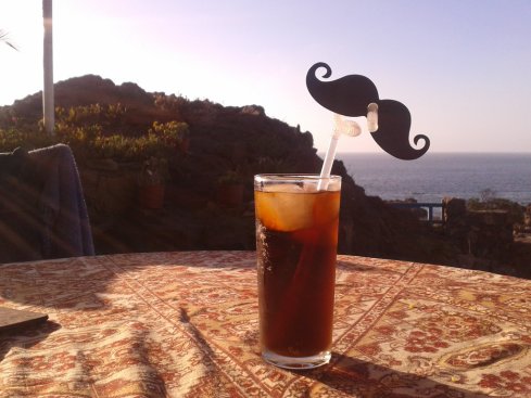 piscola_lique_a_sir_by_anuii-d5whozw