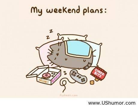pusheen plans