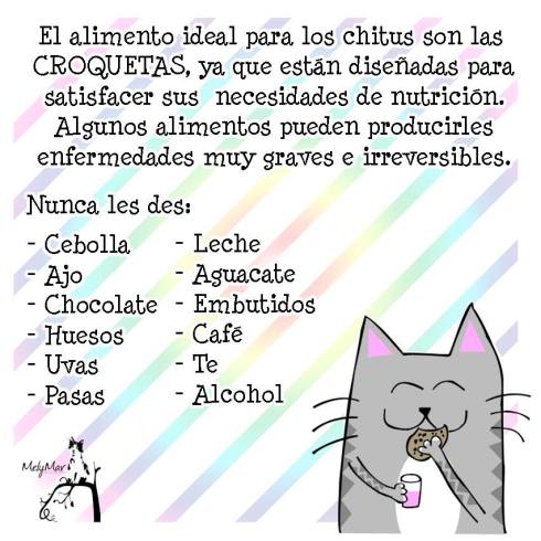 10178007_840061196022964_8011794165974772092_n