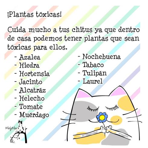 10314628_840644929297924_1075012786687642163_n