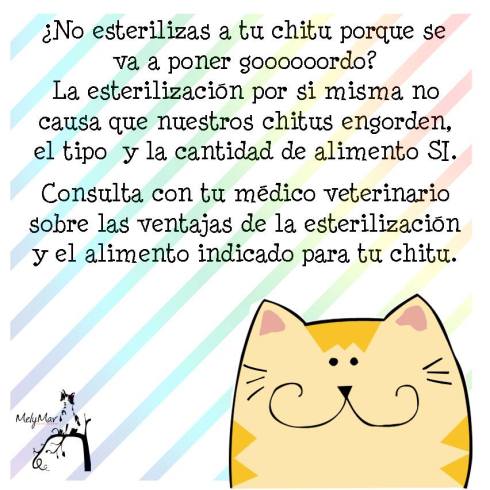 10365908_840049452690805_3992569984535481290_n