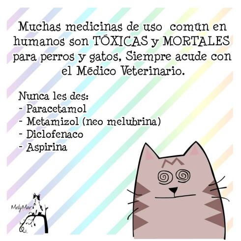 10372227_840047579357659_5237557290700404869_n