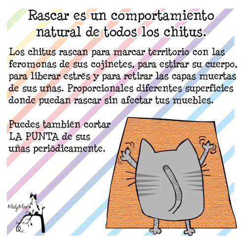 10373786_841198695909214_1826832311073039238_n