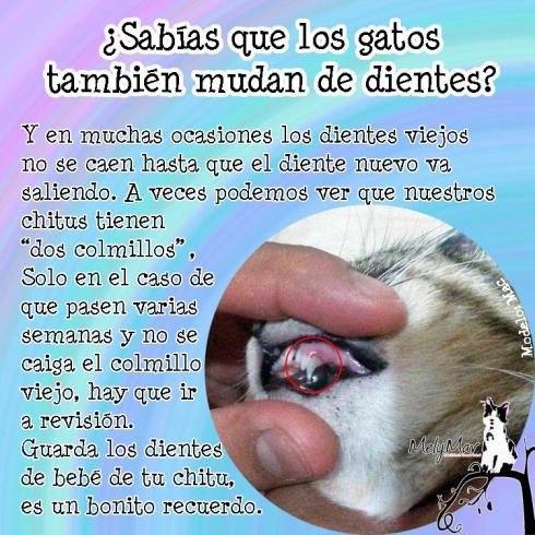 10414507_866144923414591_8989264362270788427_n