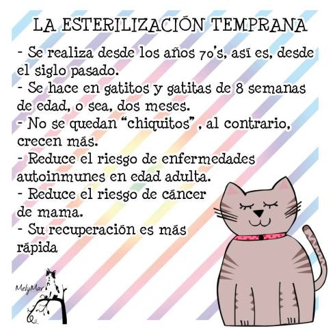 1513794_840201592675591_9117462573085466792_n