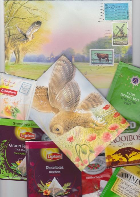 3253d1bda8034bbd51f2f353d2486bb1