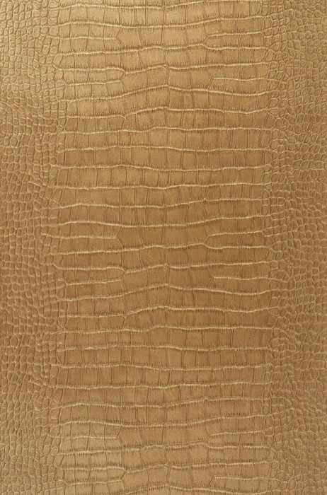 410080_big-croco_2000x700