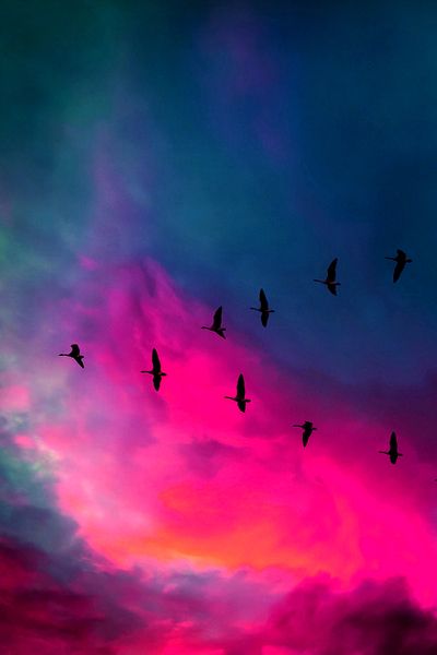 cfc4d2200c406811739ace543fbc7995