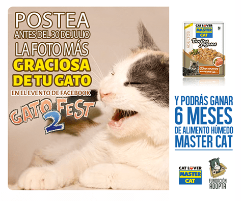 10559964_701923933219852_8190768612660792035_n