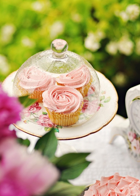 de494b14e5c8be3e56c9890552a3d073